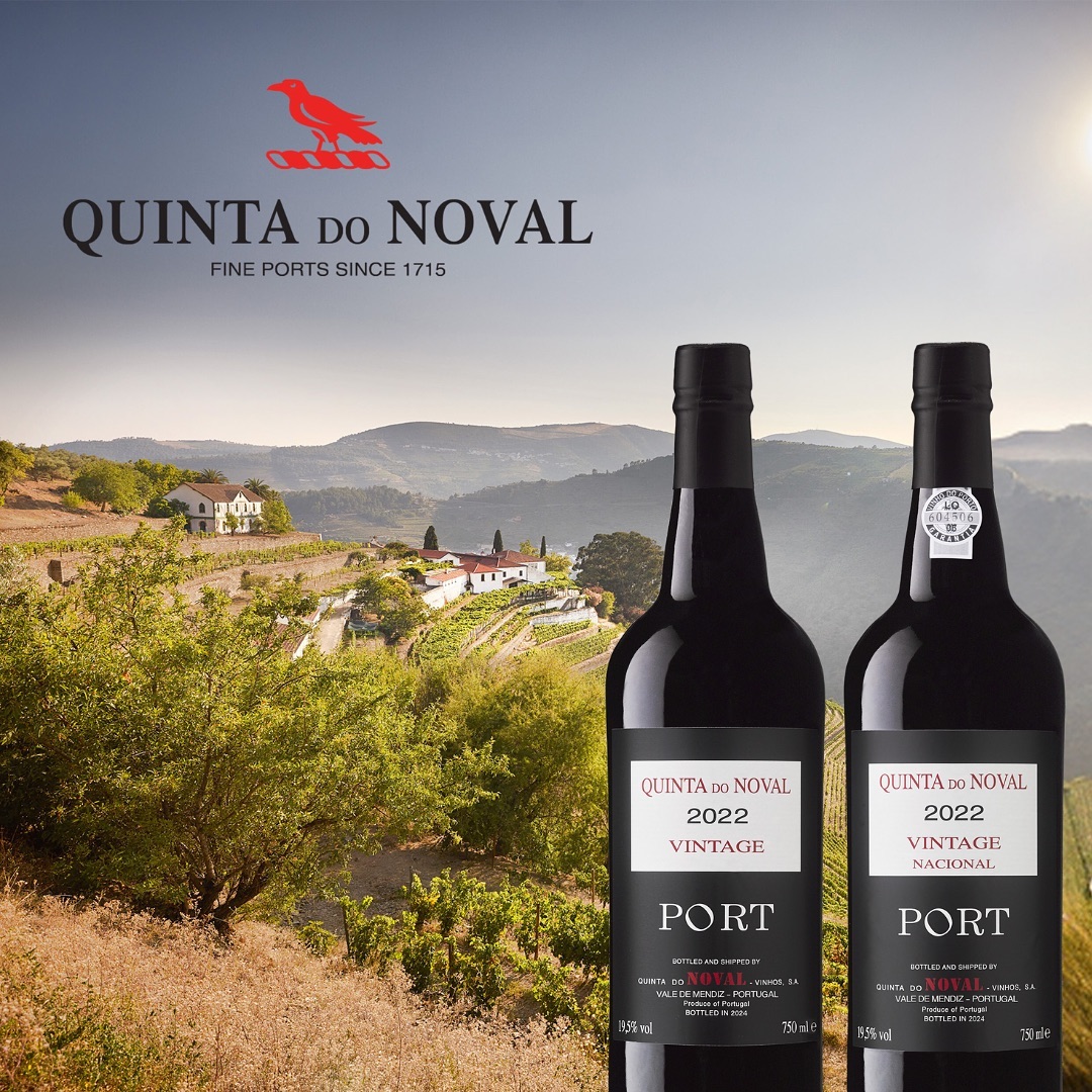 Quinta do Noval declares three vintage Ports!

Vintages ports are only produced in years when the quality is deemed exceptional. In the Douro, 2022 was a year of extreme conditions: scorching heat and minimal rainfall. Despite only 364 mm of rain—276 mm below average—and temperatures hitting 45.5°C, the vines remained healthy and avoided water stress and disease. Similar conditions were experienced in the great vintages of 2017 and 1945. As in these years, the 2022 demonstrated the remarkable resilience of the Douro’s terroir and varieties.

Here’s what Christian Seely, MD of Quinta do Noval, says: 

“We knew from the start that the Quinta do Noval Nacional Vintage Port 2022 was exceptional, and the wine has continued to develop wonderfully since the harvest, displaying the multi-layered complexity and depth that are typical of a great Nacional. Powerful and pure, it combines opulent richness, intensity and concentration with astonishing freshness.

The Quinta do Noval Vintage Port is, as always, a very strict selection of the very best wines of the year. The 2,600 cases produced represent just 6,6% of the total production of Port from Noval’s 155 hectares of vineyard. Particularly successful were the Touriga Nacionals and the field blend parcels, with also some excellent Touriga Francesa and Sousão. The 2022 is marked by great concentration and purity, profound, spicy and aromatic, a very typical expression of Noval’s terroir in an outstanding year for the property. 
Quinta do Passadouro Vintage Port 2022 is the result of a rigorous selection. The blend is made from three small parcels in the Pinhão Valley and the resulting wine is strongly marked by Passadouro’s distinctive style, pure floral and aromatic, but with the richness of the 2022 vintage.”

#port #vintageport #quintadonoval #douro #dourowine #dourovalley #touriga #touriganacional #tourigafrancesa #passadouro #christianseely #quintadonoval #vintagedeclaration #winenews #winetrade #wineindustry #2022vintage #douro2022 @cjrseely @quintadonoval_official