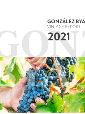  Gonzalez Byass Vintage Report 2021