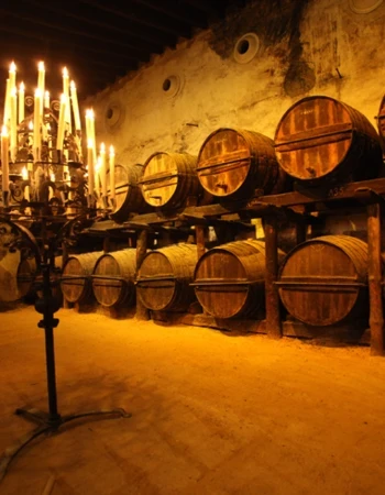 Bodega González Byass