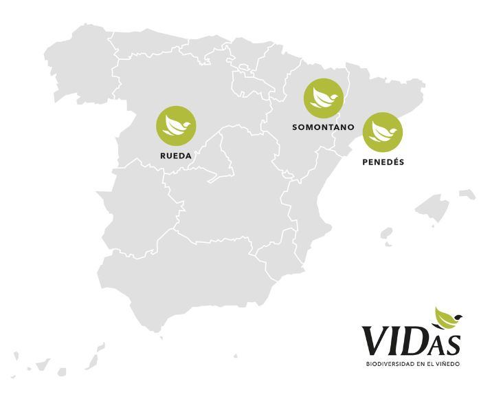 VIDas map