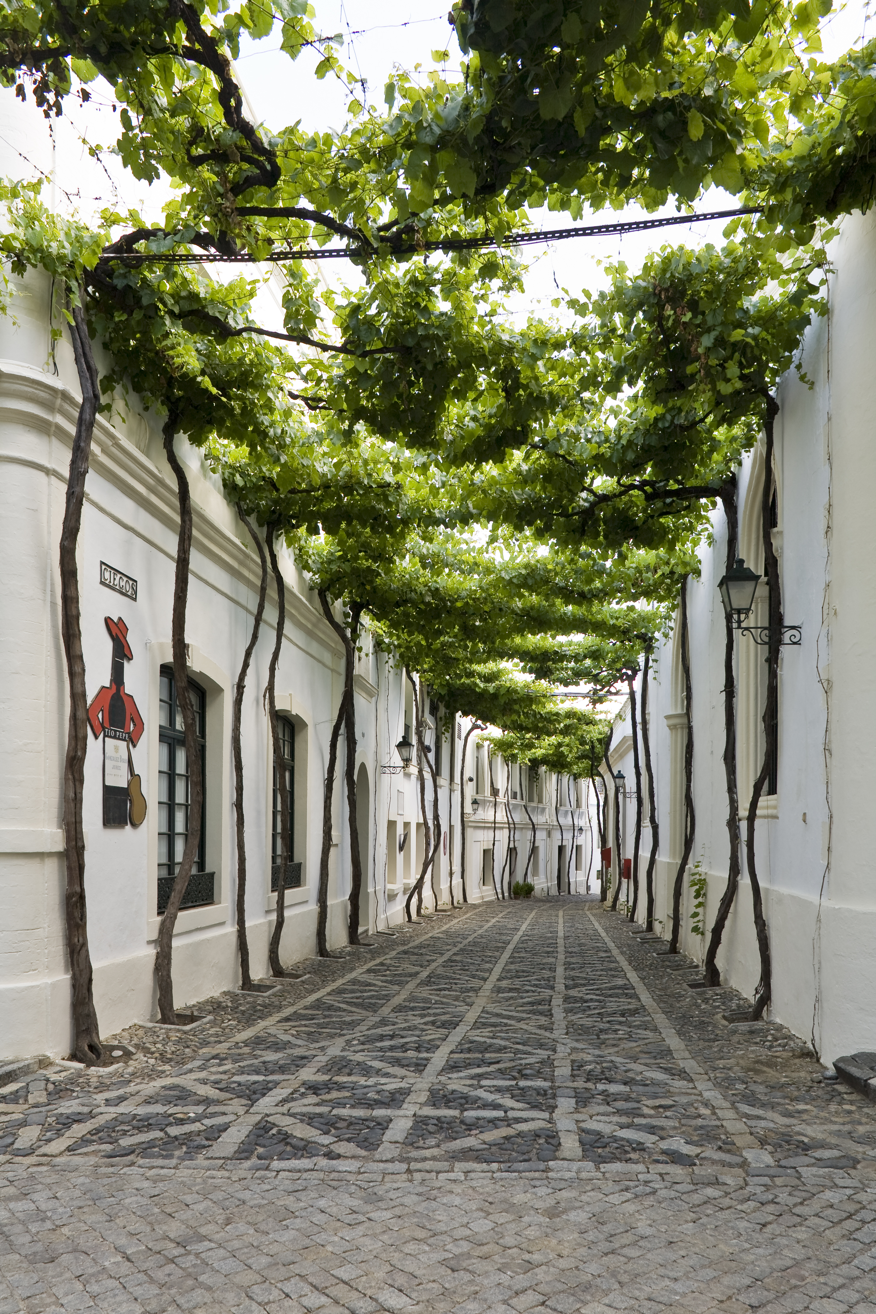 Calle Ciegos de Bodegas Tío Pepe