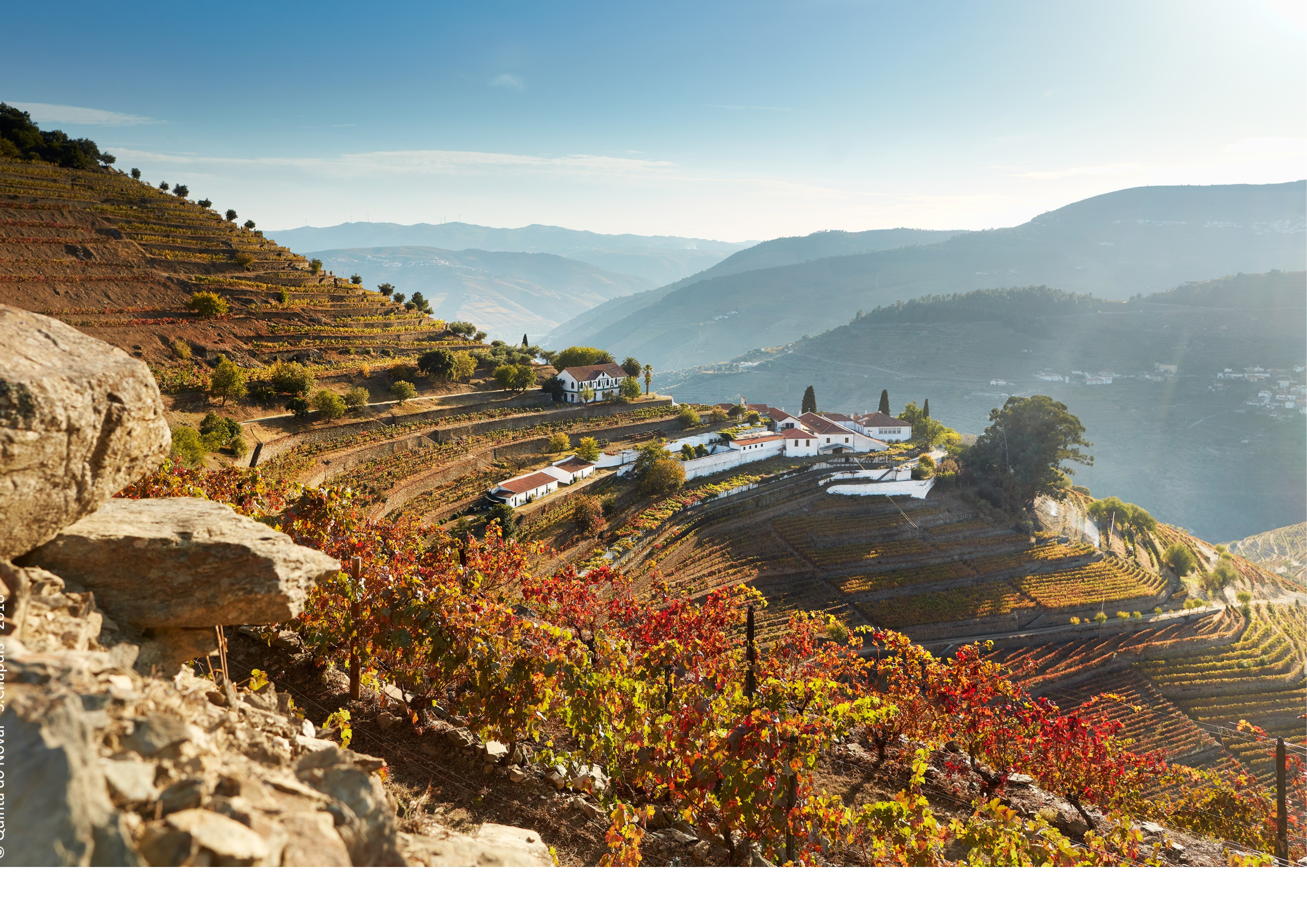 quinta do noval