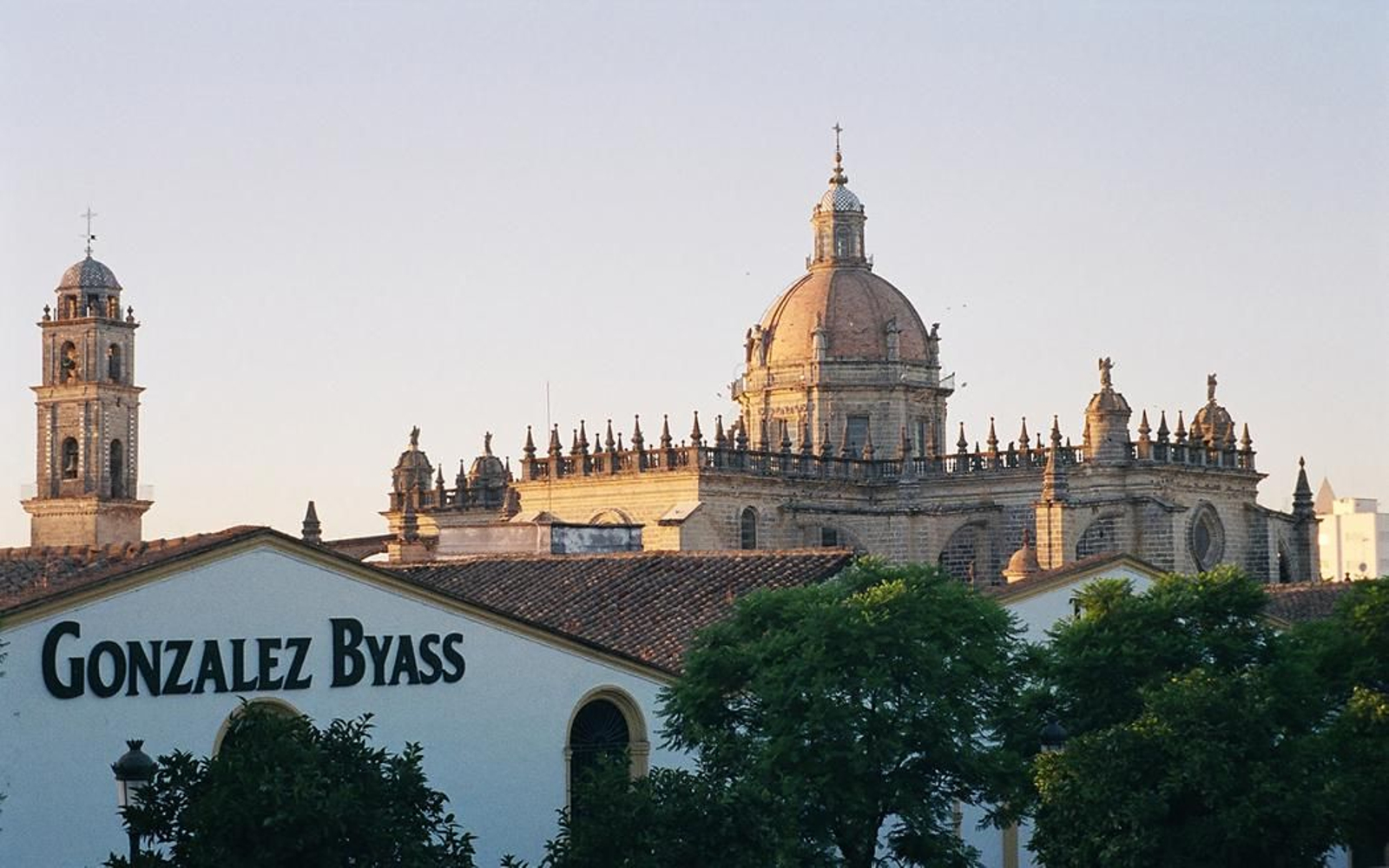 GONZALEZ BYASS