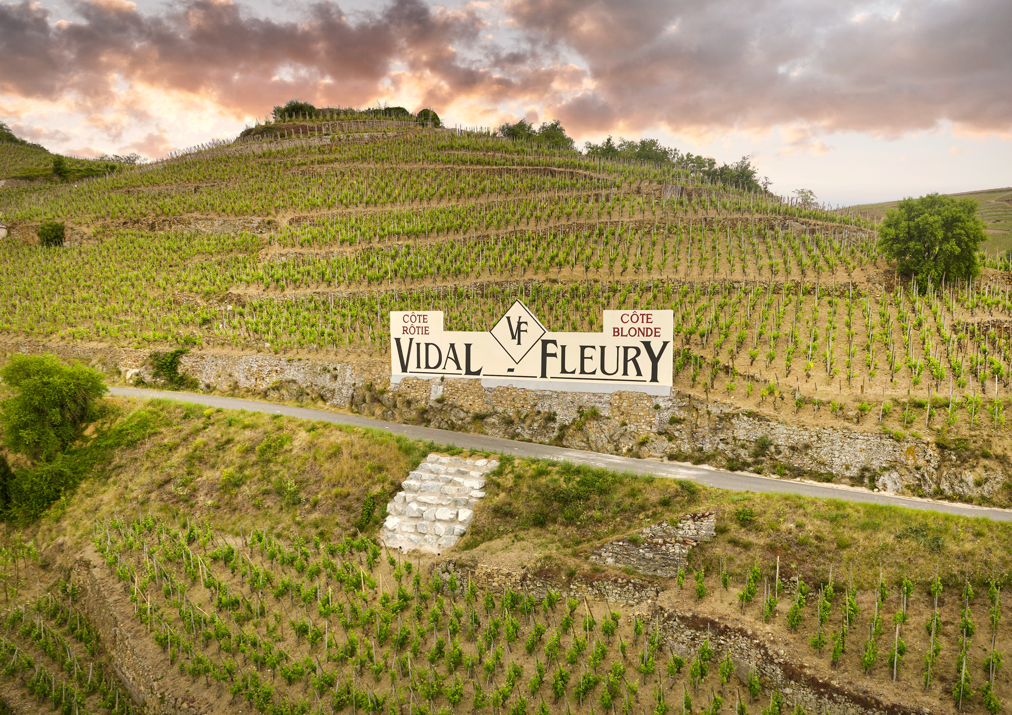 Vidal-Fleury