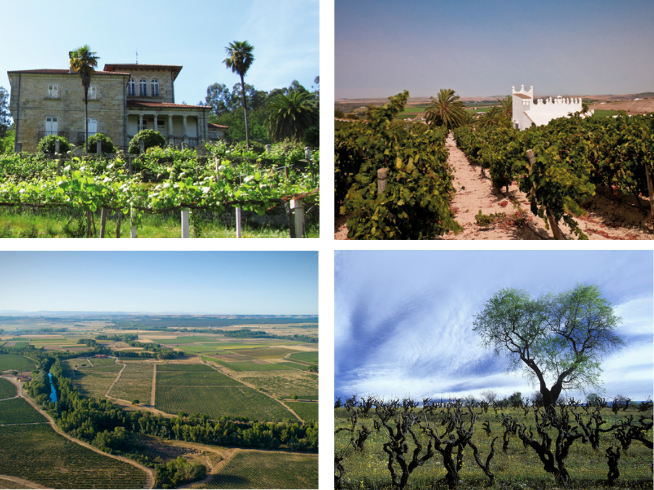 bodegas
