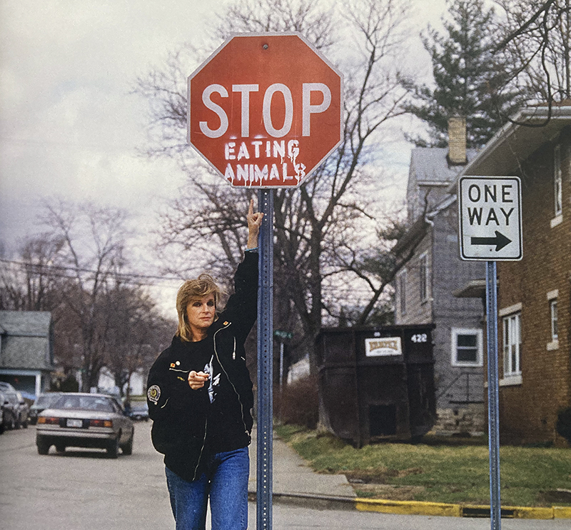 Linda McCartney La cocina familiar vegetariana