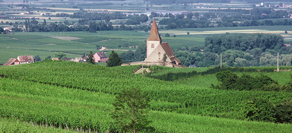 Domaine Zind-Humbrecht Lieu Dit Range