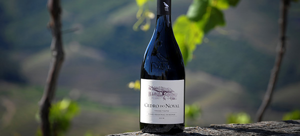 Quinta do Noval Wines