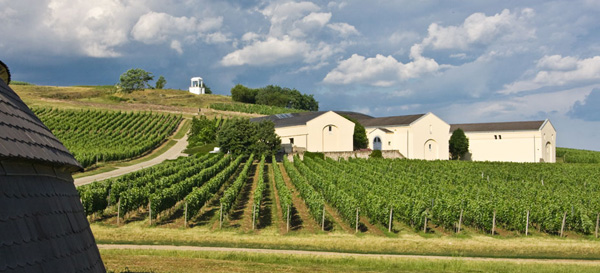 Disznókő Tokaji Dry Furmint