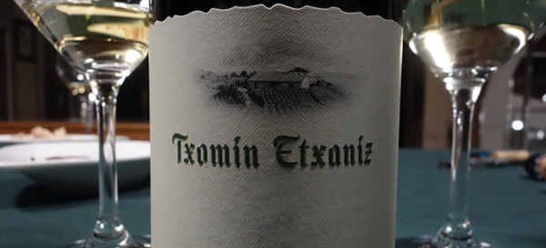Txomin Etxaniz