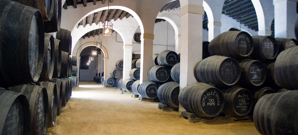 Gonzalez Byass Bodega 