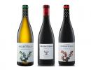 Vinos de Garnacha de Secastilla