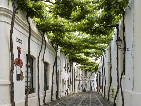 Calle Ciegos de Bodegas Tío Pepe