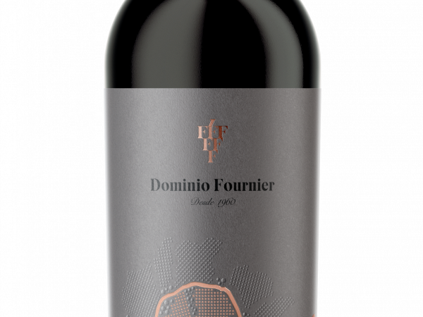 Dominio Fournier