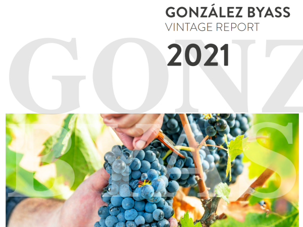  Gonzalez Byass Vintage Report 2021