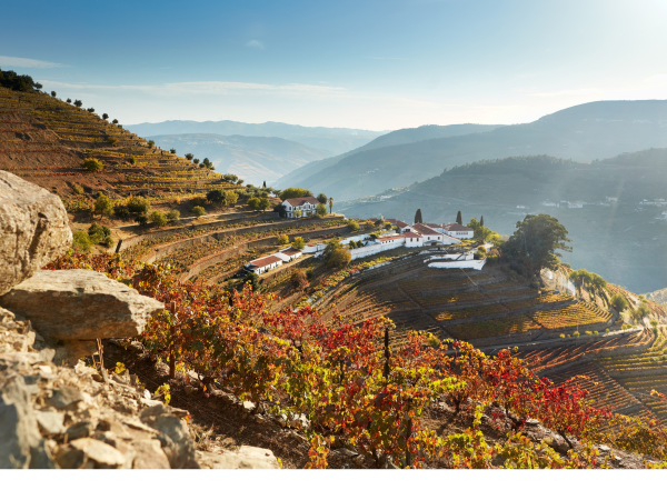 quinta do noval