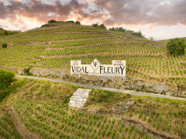 Vidal-Fleury