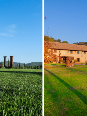 Viñas del Vero y Vilarnau