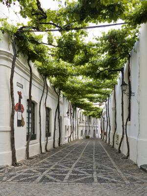 Calle Ciegos de Bodegas Tío Pepe