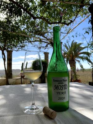 Primer mosto de Gonzalez Byass