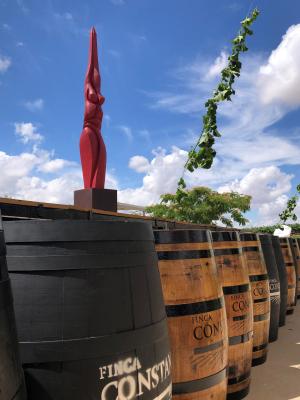 Arte entre viñedos