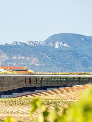  La nueva bodega de Beronia, una referencia  de la arquitectura en el mundo del vino