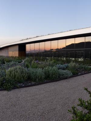 Beronia Winery Rioja Sunset 