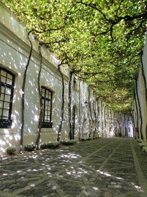 Calle Ciegos en las bodegas de Jerez de González Byass