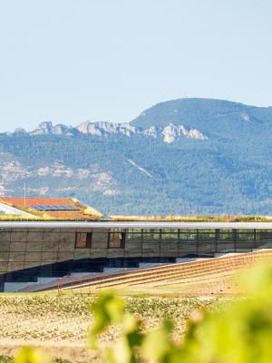 Beronia Rioja bodega sostenible