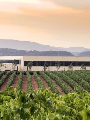 cava vilarnau
