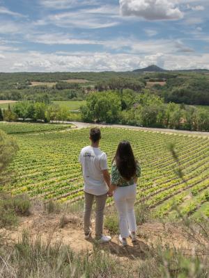 Enoturismo Viñas del Vero Bodega Trekking