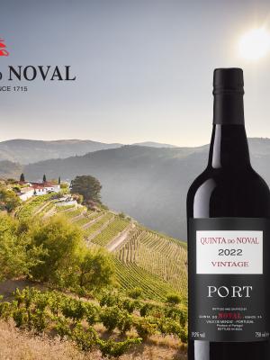 quinta do noval port vintage