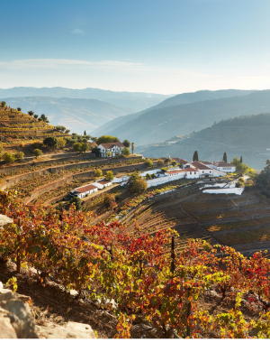 quinta do noval