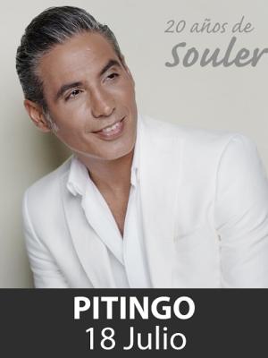Pitingo, Veranea en la Bodega
