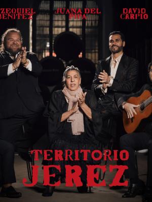 tio pepe festival