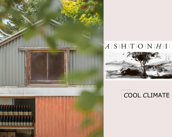 Ashton Hills winery 
