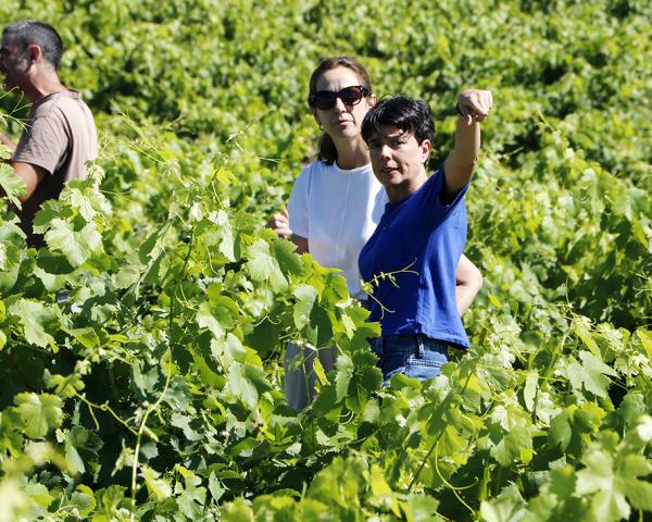 Ángel de Viñas. González Byass. Al pie del abismo. Vino Arribes del Duero. 