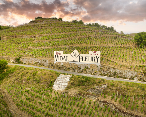 Vidal-Fleury