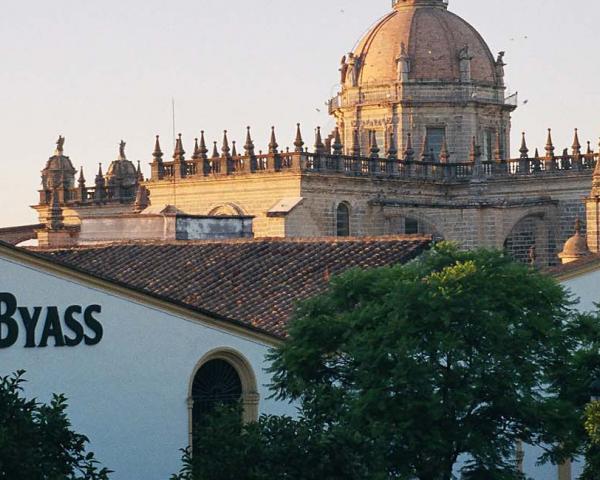 bodegas gonzalez byass jerez