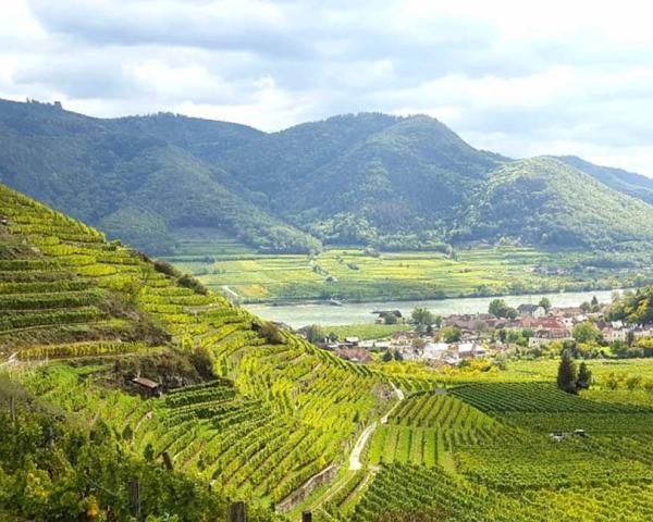 Domane Wachau