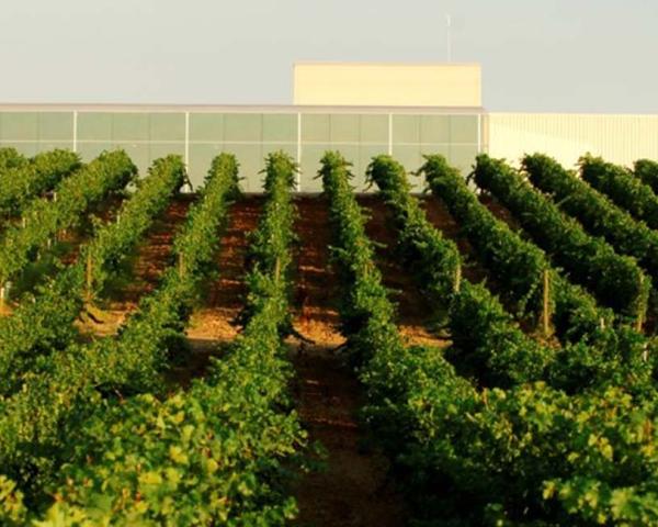 Finca Constancia