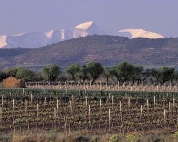 Viñas del Vero