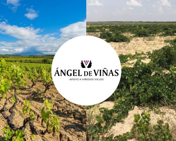 Viñas