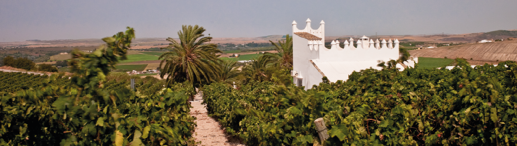 Bodega Finca Moncloa