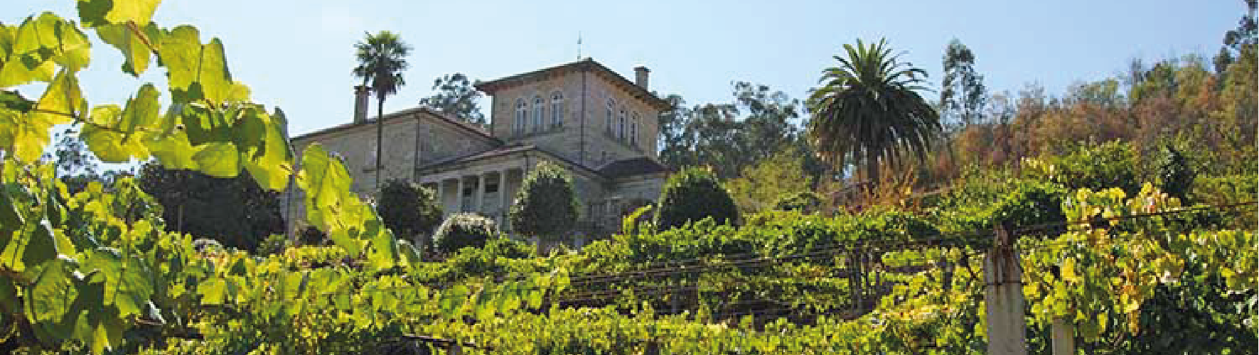 Imagen Bodega Pazos de Lusco
