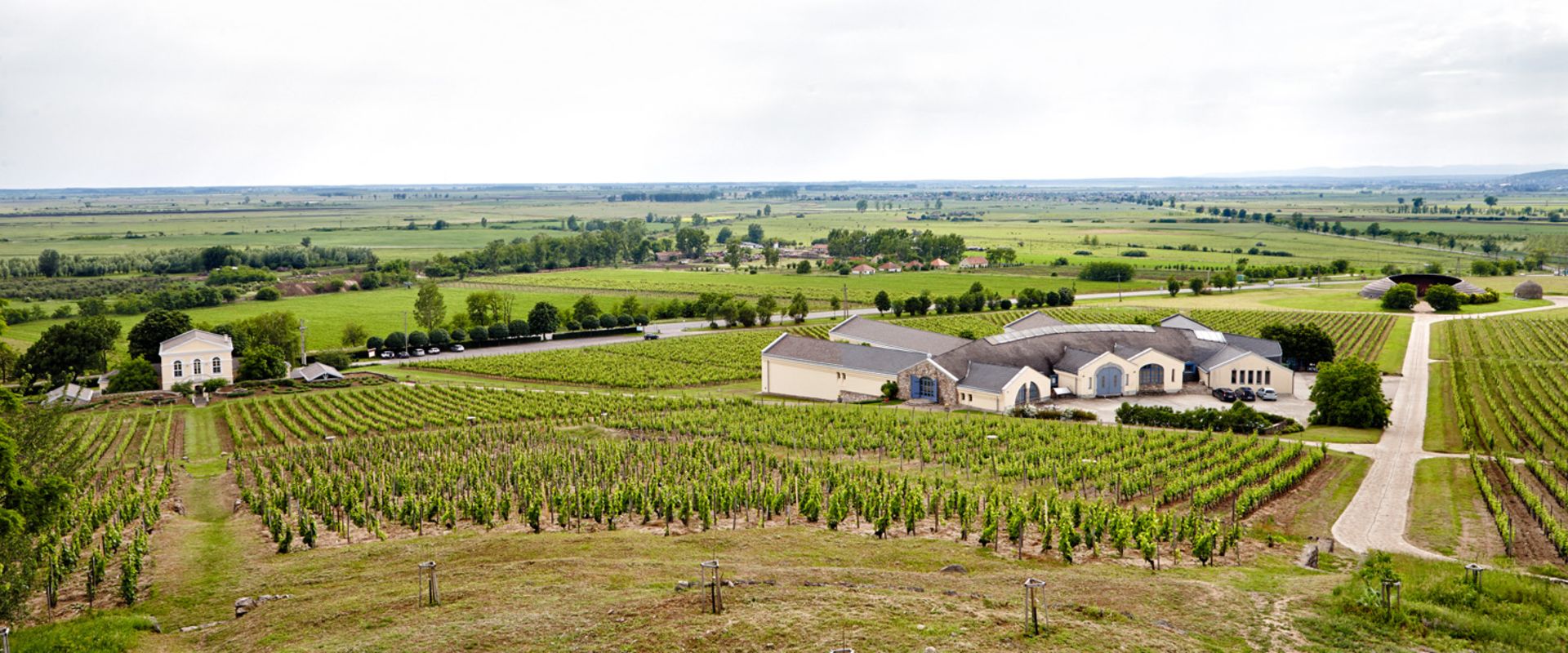 bodega disznoko tokaj