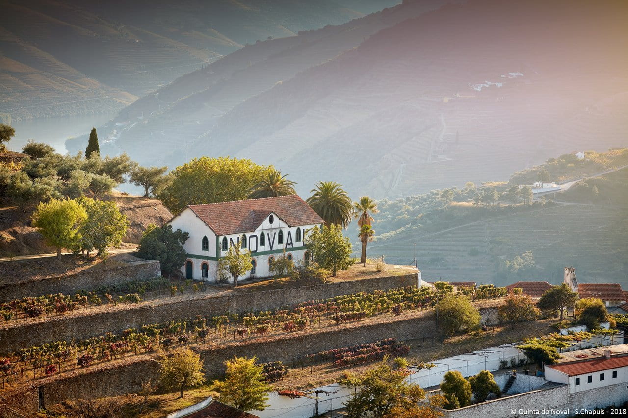 quinta do noval