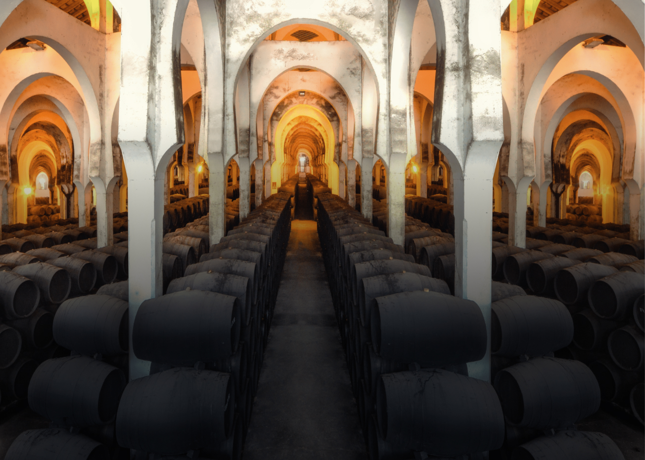 Bodega fundador