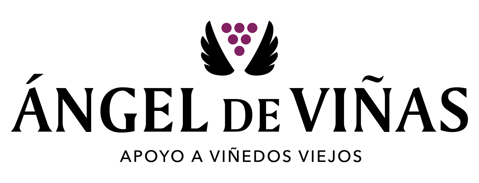 logotipo ángel de viñas