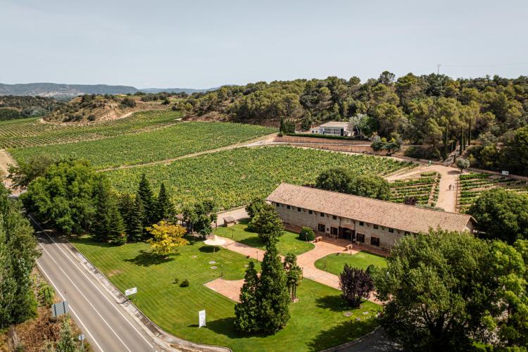 Bodega Viñas del Vero